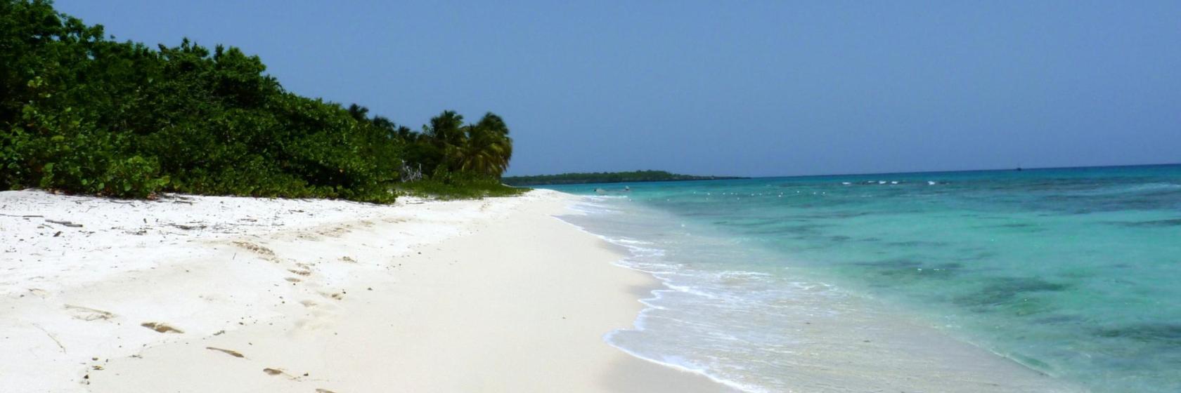 Plaża Dominicus